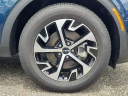 Thumbnail image of 2023 Kia Sportage Hybrid at Woodbury Nissan Inc
