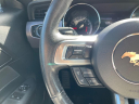 Thumbnail image of 2017 Ford Mustang at KarPlaza of Tampa, FL