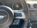 Thumbnail image of 2017 Ford Mustang at KarPlaza of Tampa, FL