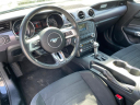 Thumbnail image of 2017 Ford Mustang at KarPlaza of Tampa, FL