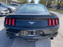 Thumbnail image of 2017 Ford Mustang at KarPlaza of Tampa, FL