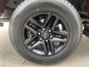 Thumbnail image of 2019 Chevrolet Silverado 1500 at Stanley Automotive Enterprises Inc.