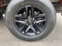 Thumbnail image of 2019 Chevrolet Silverado 1500 at Stanley Automotive Enterprises Inc.