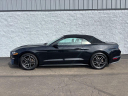 Thumbnail image of 2022 Ford Mustang at Brondes Ford Inc.