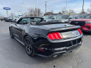 Thumbnail image of 2022 Ford Mustang at Brondes Ford Inc.