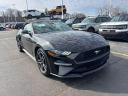 Thumbnail image of 2022 Ford Mustang at Brondes Ford Inc.