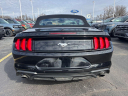Thumbnail image of 2022 Ford Mustang at Brondes Ford Inc.