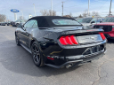 Thumbnail image of 2022 Ford Mustang at Brondes Ford Inc.