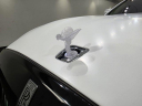 Thumbnail image of 2024 Rolls-Royce Spectre at JaguarPalmBeach - NEW