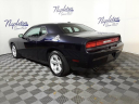 Thumbnail image of 2012 Dodge Challenger at Napleton's Dodge Chrysler Jeep Ram