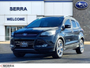 Thumbnail image of 2014 Ford Escape at Serra Buick Gmc Champaign