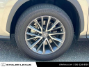 2023 Lexus NX 350 Base at Stoler Lexus