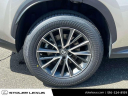 Thumbnail image of 2023 Lexus NX 350 at Stoler Lexus