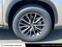 Thumbnail image of 2023 Lexus NX 350 at Stoler Lexus