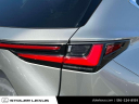 Thumbnail image of 2023 Lexus NX 350 at Stoler Lexus