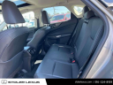 Thumbnail image of 2023 Lexus NX 350 at Stoler Lexus
