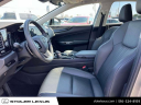 Thumbnail image of 2023 Lexus NX 350 at Stoler Lexus