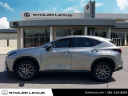 Thumbnail image of 2023 Lexus NX 350 at Stoler Lexus