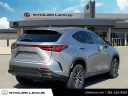 Thumbnail image of 2023 Lexus NX 350 at Stoler Lexus
