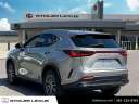 Thumbnail image of 2023 Lexus NX 350 at Stoler Lexus