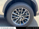 Thumbnail image of 2023 Lexus NX 350 at Stoler Lexus