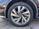 2019 Nissan Murano SL at Bronx Nissan