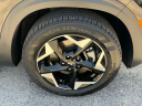 Thumbnail image of 2025 Kia Seltos at South Shore Kia