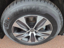 Thumbnail image of 2022 Toyota Highlander at Peruzzi Toyota(New)