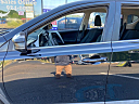Thumbnail image of 2016 Toyota RAV4 at Wilson Auto Sales