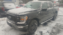 Thumbnail image of 2023 Ford F-150 at Rick Ford Sales, Inc.