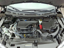 Thumbnail image of 2022 Nissan Rogue Sport at Conicelli Honda - USED