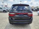 Thumbnail image of 2023 Dodge Durango at Al White Motors