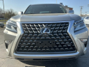 Thumbnail image of 2022 Lexus GX 460 at FergusonBuickGmc Used