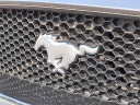 Thumbnail image of 2018 Ford Mustang at Honda Of Toms River
