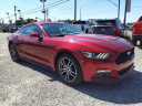 Thumbnail image of 2015 Ford Mustang at Lilliston Ford