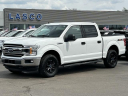 2019 Ford F-150 XLT at Lasco Ford