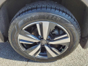 Thumbnail image of 2021 Nissan Rogue at Mathews Nissan