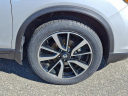 Thumbnail image of 2019 Nissan Rogue at Woodbury Nissan Inc