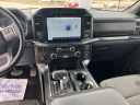 Thumbnail image of 2022 Ford F-150 at The Motor Company