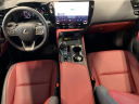 Thumbnail image of 2024 Lexus NX 350 at Lexus of Southampton