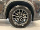 Thumbnail image of 2024 Lexus NX 350 at Lexus of Southampton