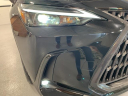 Thumbnail image of 2024 Lexus NX 350 at Lexus of Southampton