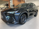Thumbnail image of 2024 Lexus NX 350 at Lexus of Southampton