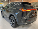 Thumbnail image of 2024 Lexus NX 350 at Lexus of Southampton