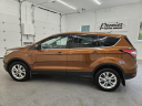 Thumbnail image of 2017 Ford Escape at Premier Motor Group