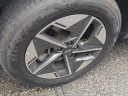 Thumbnail image of 2025 Hyundai TUCSON at DiamondChevroletBuickGmc - USED