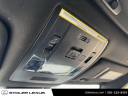 Thumbnail image of 2023 Lexus UX 250h at Stoler Lexus