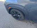 Thumbnail image of 2023 Hyundai PALISADE at Ricart Used