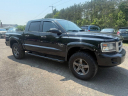 Thumbnail image of 2010 Dodge Dakota at Duncan Motors