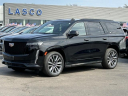 2023 Cadillac Escalade Sport at Lasco Ford